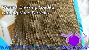 Wound Dressing Loaded with Ag Nano Particles