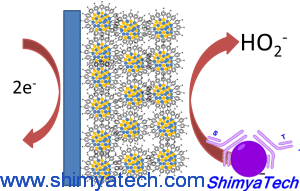 • Modified electrodes and Electrocatalysts for Fuel Cells