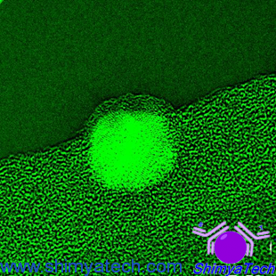 Microscopic image of Modified Nanomaterials for air and water filters