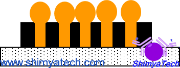 Modified surfaces for sensors and catalysts
